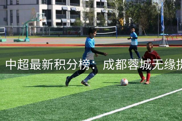 中超最新积分榜：成都蓉城无缘提前4轮夺冠，5队争亚军，津门虎甩开三镇